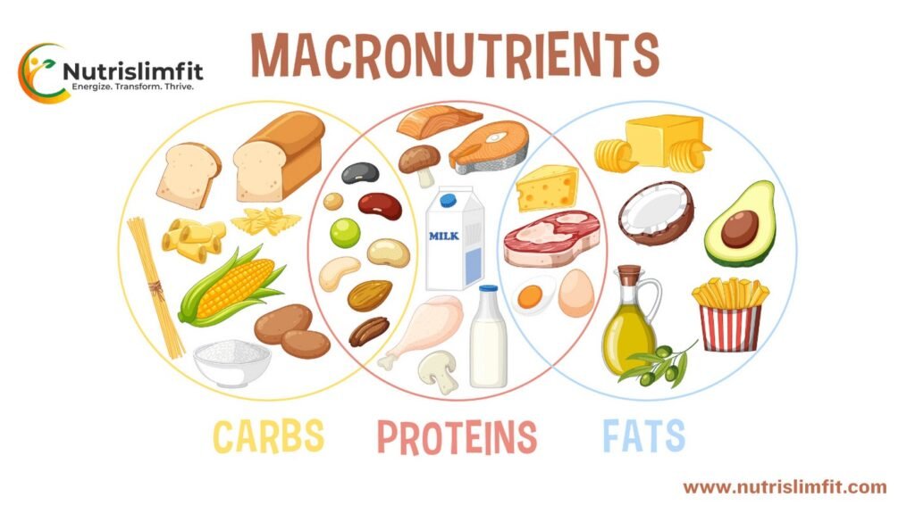 Importance of Macronutrients